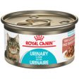 Royal Canin SAS Urinary Care Thin Slices In Gravy Canned Cat Food Hot on Sale