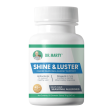 Dr. Marty Shine & Luster Canine Seasonal Allergy Support Chewable Tablet Fashion