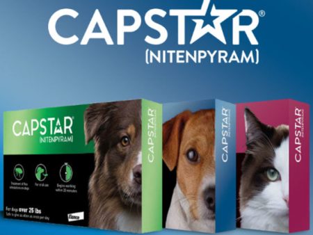 Capstar for Dogs & Cats For Cheap