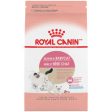 Royal Canin SAS Mother & Babycat Dry Cat Food For Sale