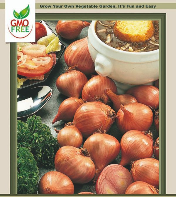 Hirt s Gardens Red Shallots - Preferred by Chefs - 15 Bulbs 9 15 cm Cheap